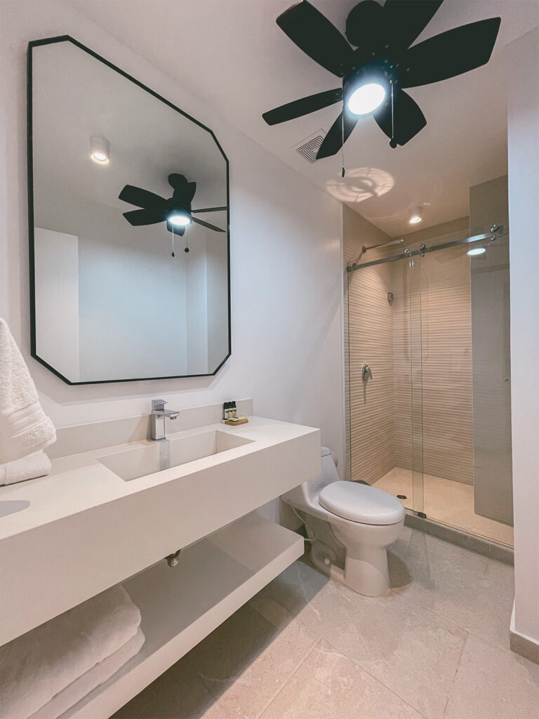 DELUXE SUITE-105