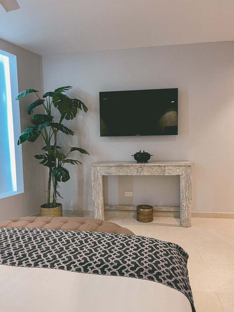 DELUXE SUITE-105(3)