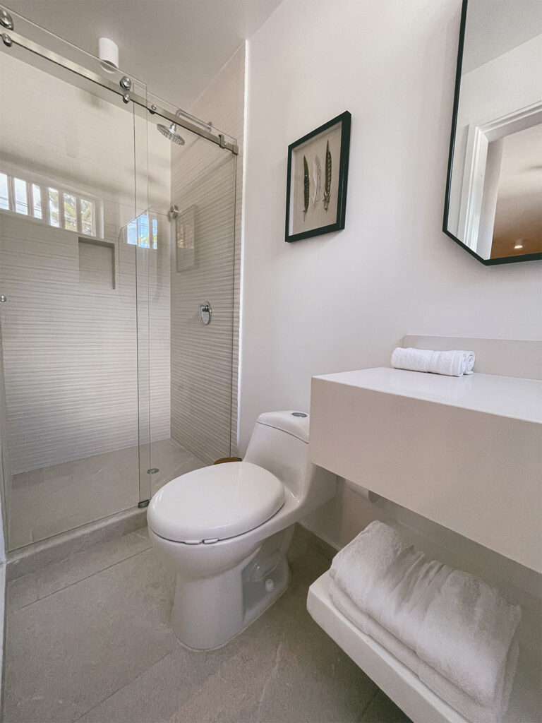DELUXE SUITE-106(1)