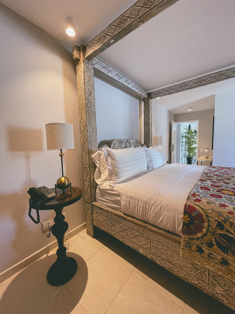DELUXE SUITE-106(3)