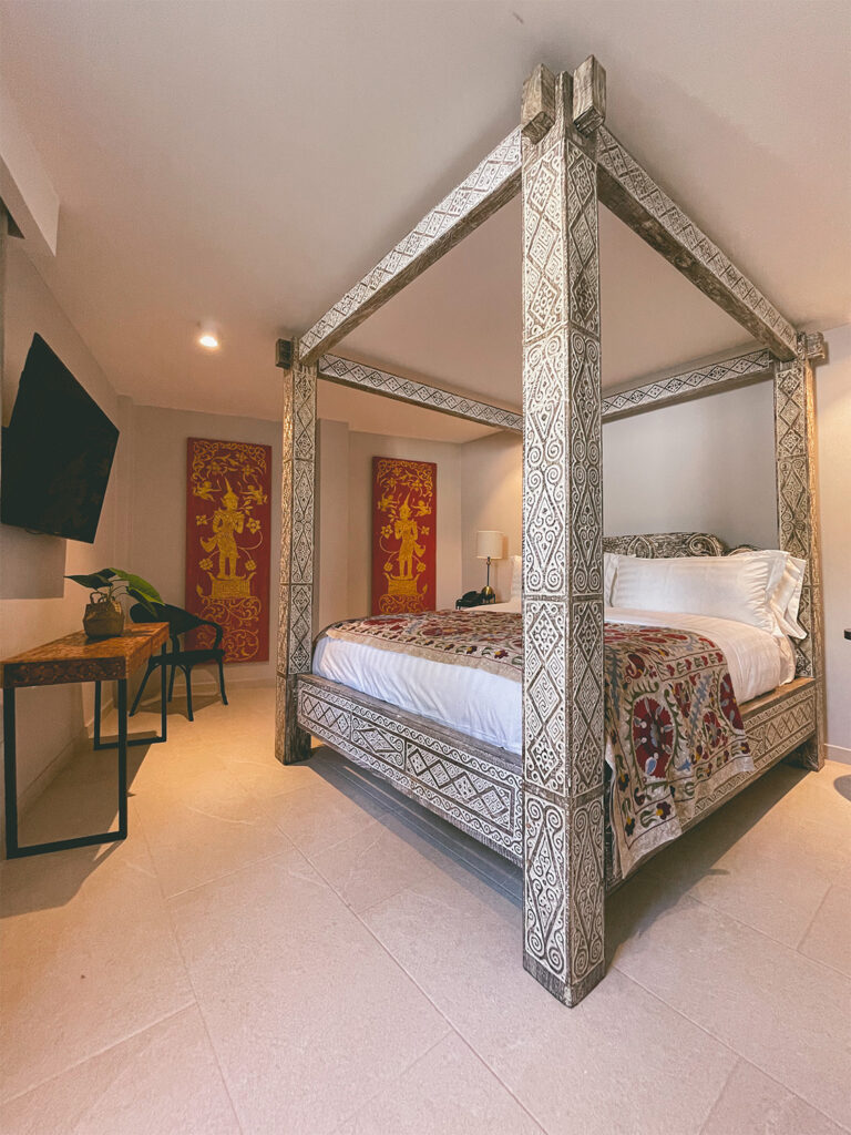 DELUXE SUITE-106JPG