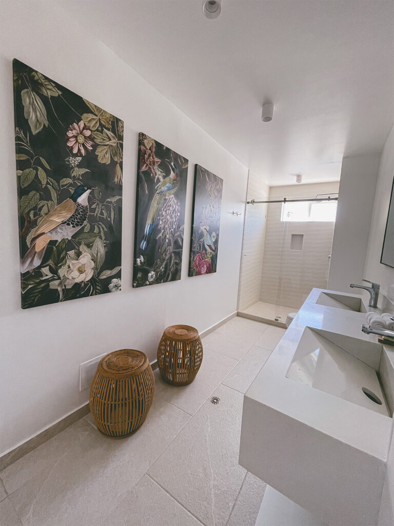 DELUXE SUITE-203(1)