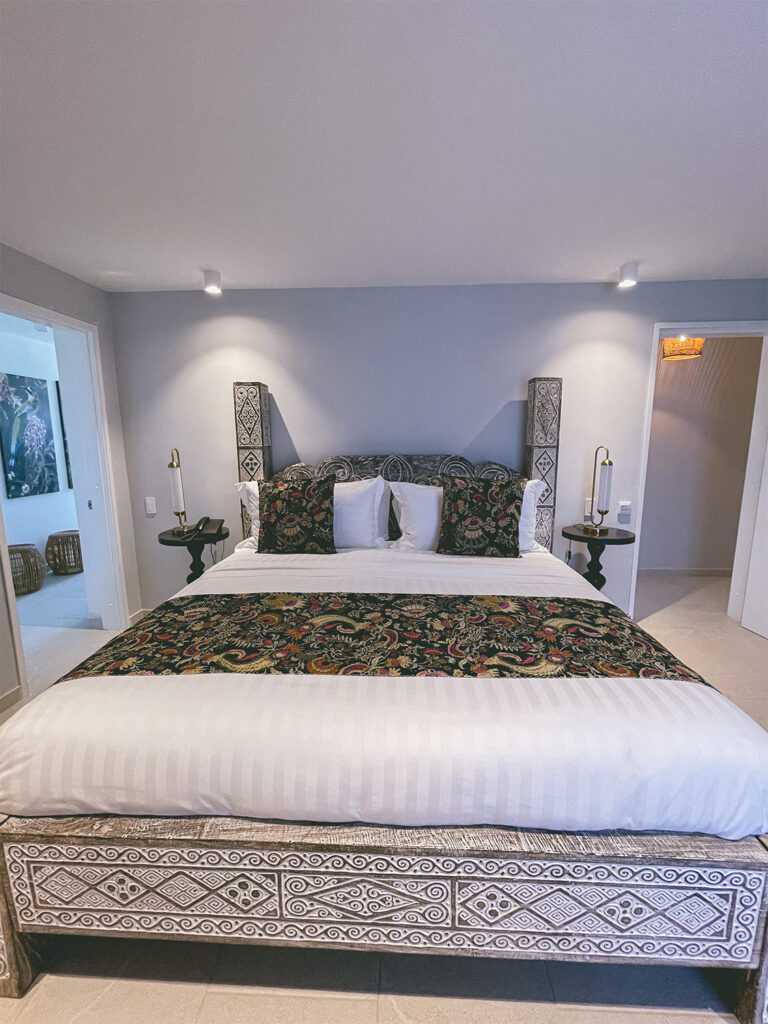 DELUXE SUITE-203(3)